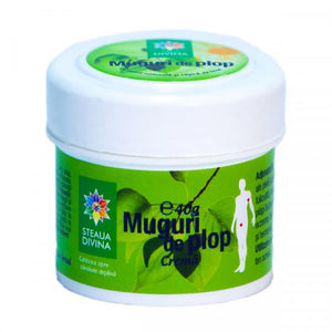 Steaua Divina Natural Black Poplar Bud Healing Salve with Fir Resin & Beeswax – Multi-Purpose Herbal Ointment for Eczema, Burns, Minor Wounds & Problem Skin, 40g.