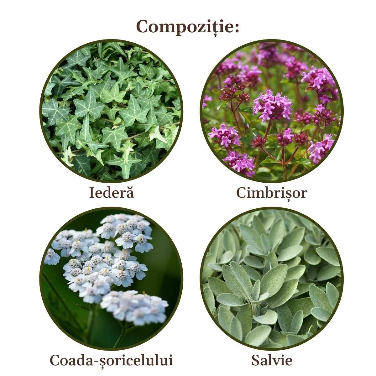 Anti-Cellulite Massage Oil, 100% natural product - Faunus Plant - 100ml