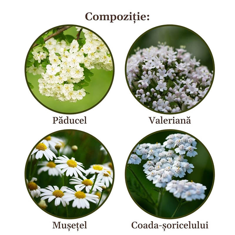 Circulatorus Herbal Tea for healthy blood circulation - Faunus Plant - 90g