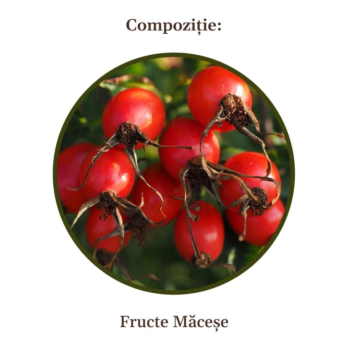 Rosehip Syrup, 100% natural product, Increases immunity - Faunus Plant - 200 ml