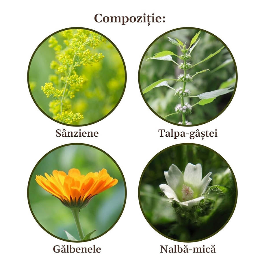 Tiroidianus Herbal Tea for Thyroid Function - Faunus Plant - 90g