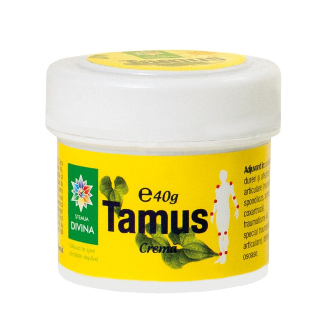 Santo Raphael Tamus Botanical Massage Cream, 40 g